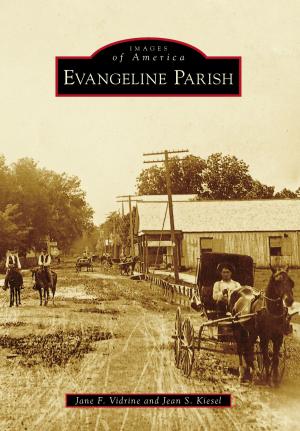 Cover of the book Evangeline Parish by Tricia O’Brien