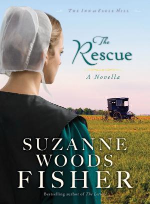 Cover of the book The Rescue (Ebook Shorts) (The Inn at Eagle Hill) by Christine Sine, Tom Sine