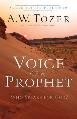 Cover of the book Voice of a Prophet by Martha O. Bolton, Phil Callaway