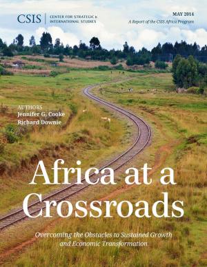 Cover of the book Africa at a Crossroads by Nicholas Szechenyi, Michael J. Green, Georgetown University