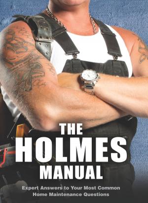 bigCover of the book The Holmes Manual by 