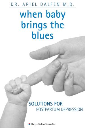 Cover of the book When Baby Brings The Blues by Dan Liebman