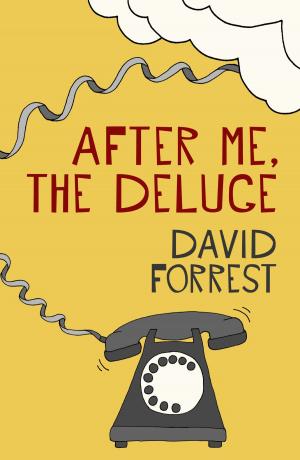 Cover of the book After Me, The Deluge by David Ashton