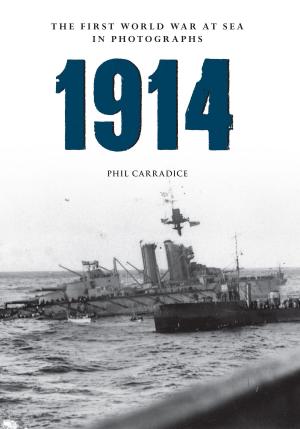 Book cover of 1914 The First World War at Sea in photographs