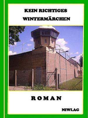 Book cover of Kein richtiges Wintermärchen