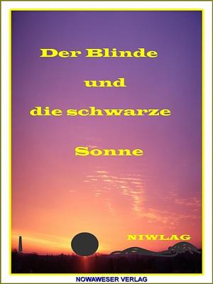 Cover of Der Blinde und die schwarze Sonne