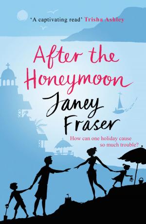Cover of the book After the Honeymoon by Ruth Padel
