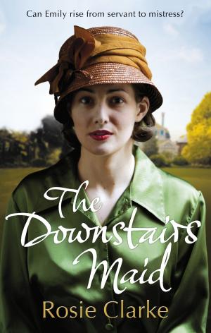 Cover of the book The Downstairs Maid by Sarah Copeland