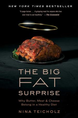 Cover of the book The Big Fat Surprise by Stephen Kuusisto