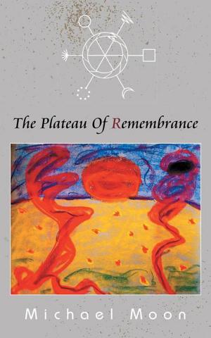 Cover of the book The Plateau of Remembrance by Michael Weston