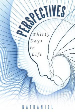 Cover of the book Perspectives by Barbara Swanson