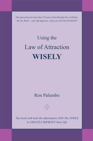 Cover of the book Using the Law of Attraction Wisely by 爾吉