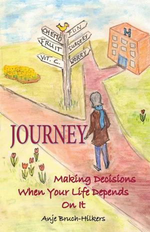 Cover of the book Journey by Sondra Perlin Zecher Charles E. Zecher