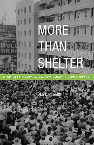 Cover of the book More Than Shelter by Peter Pál Pelbart
