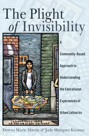 Cover of the book The Plight of Invisibility by Paul Christian Sander