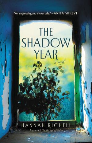 Cover of the book The Shadow Year by Katie Higgins