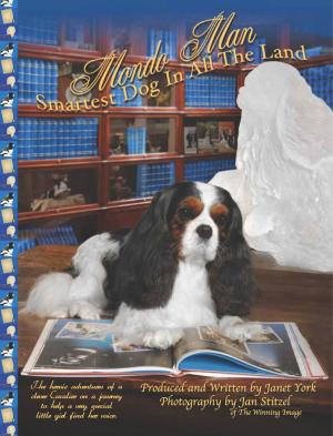 Cover of the book Mondo Man Smartest Dog In All The Land by Dave Struzzi