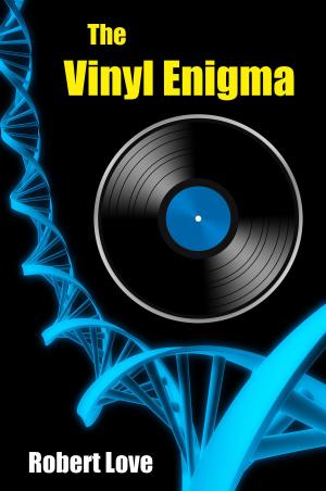 Cover of the book The Vinyl Enigma by Howard Zinn