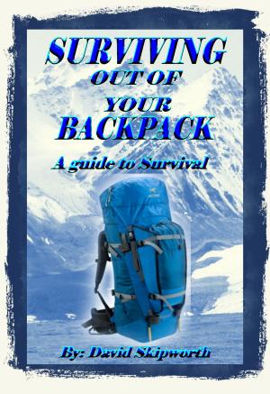 Cover of the book Surviving Out of Your Backpack by Damian Hamill