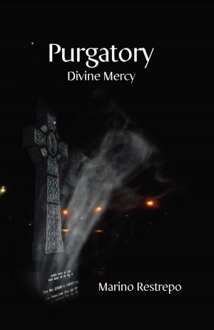 Book cover of Purgatory: Divine Mercy