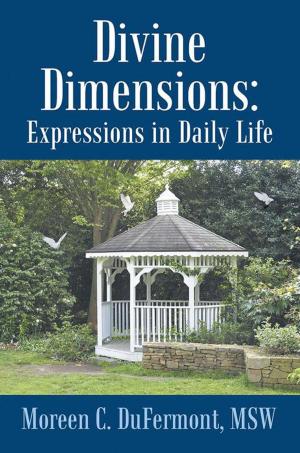 Cover of the book Divine Dimensions: Expressions in Daily Life by Philip A. Wigent