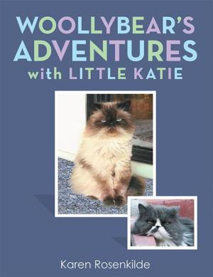 Cover of the book Woollybear’S Adventures with Little Katie by Corinne Taylor