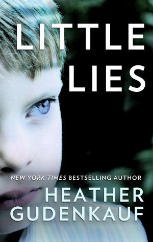 Cover of the book Little Lies by Tamar Cohen
