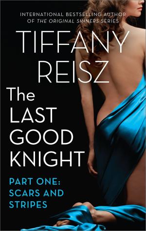 Cover of the book The Last Good Knight Part I: Scars and Stripes by Mary Martinez