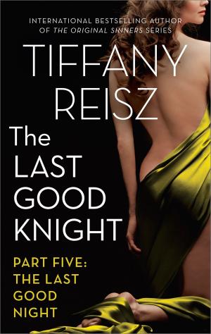 bigCover of the book The Last Good Knight Part V: The Last Good Night by 