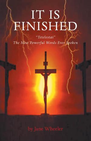 Cover of the book It Is Finished by Michael DeFazio