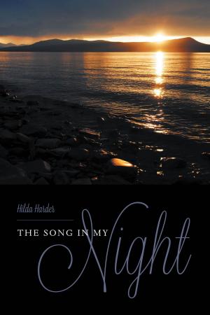 Cover of the book The Song In My Night by Belinda King