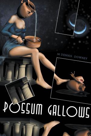 Book cover of Possum Gallows