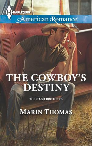 Cover of the book The Cowboy's Destiny by Amanda Stevens