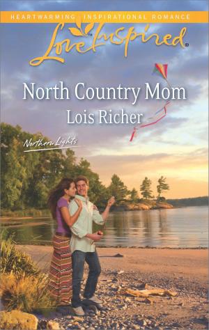 bigCover of the book North Country Mom by 