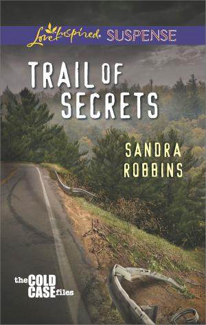 Cover of the book Trail of Secrets by Jodi O'Donnell