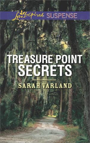 Book cover of Treasure Point Secrets