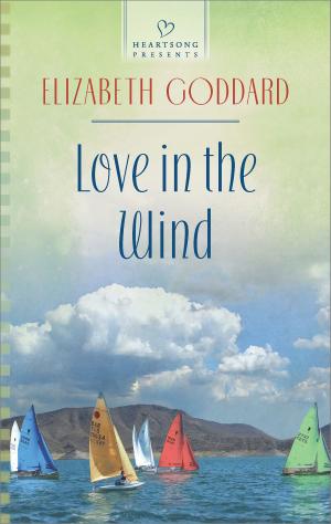 Cover of the book Love in the Wind by Anne Peters