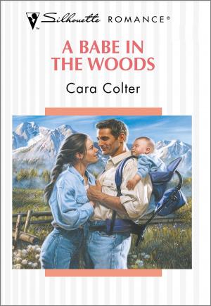 Cover of the book A Babe in the Woods by Carla Cassidy, Patricia Rosemoor