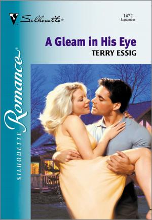 Cover of the book A Gleam In His Eye by Linda Castillo