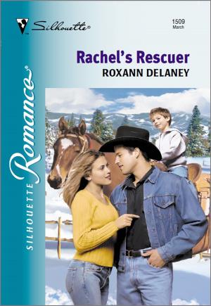 Cover of the book Rachel's Rescuer by Karen Van Der Zee