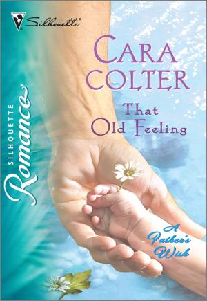 Cover of the book That Old Feeling by Laurel Greer