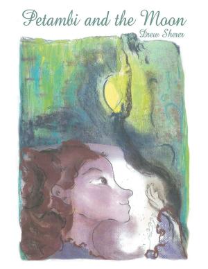 Cover of the book Petambi and the Moon by Ollie Porche Voelker