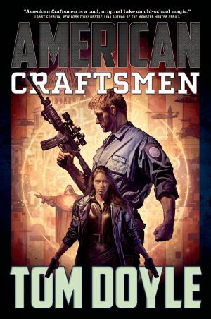 Cover of the book American Craftsmen by Ilana C. Myer