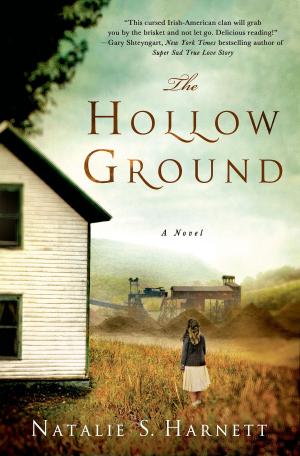 Cover of the book The Hollow Ground by Laura Joh Rowland