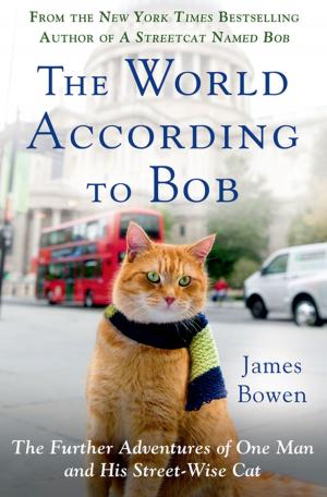 Cover of the book The World According to Bob by Phoebe Maltz Bovy