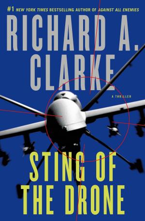 Cover of the book Sting of the Drone by Rachel Devenish Ford