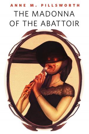 Cover of the book The Madonna of the Abattoir by Anne Strieber