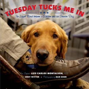 Cover of the book Tuesday Tucks Me In by Cecil Castellucci
