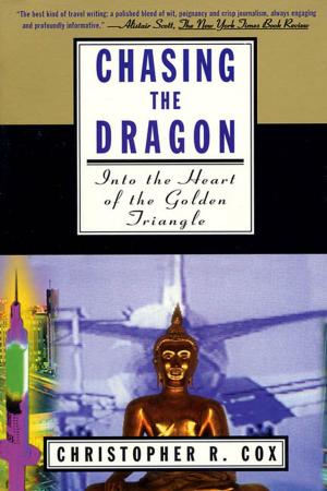 Cover of the book Chasing the Dragon by Karen Perry
