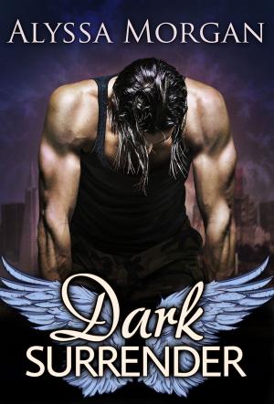 Cover of the book Dark Surrender by Nadine Abensur